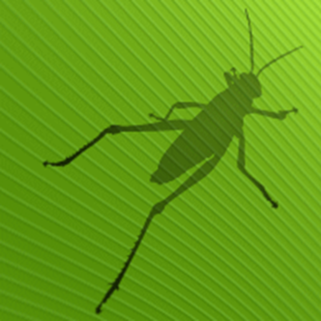 Grasshopper